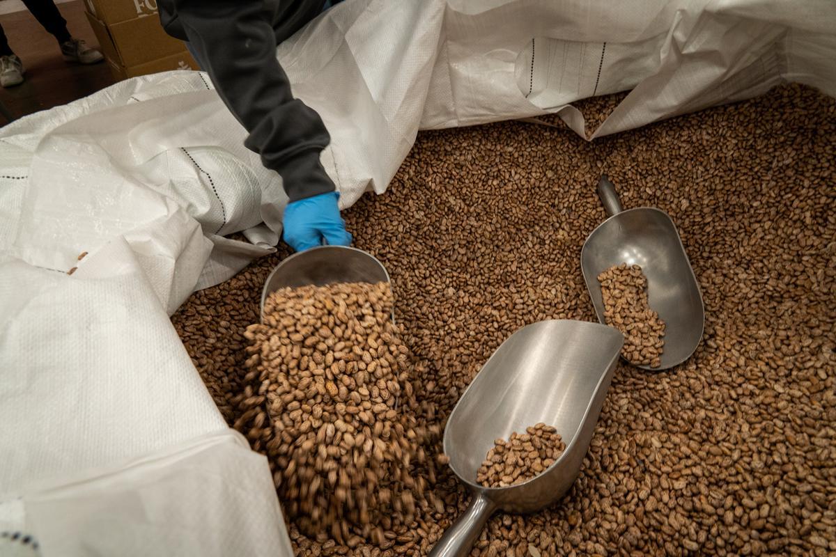 How to Create Healthy Meals on a Budget