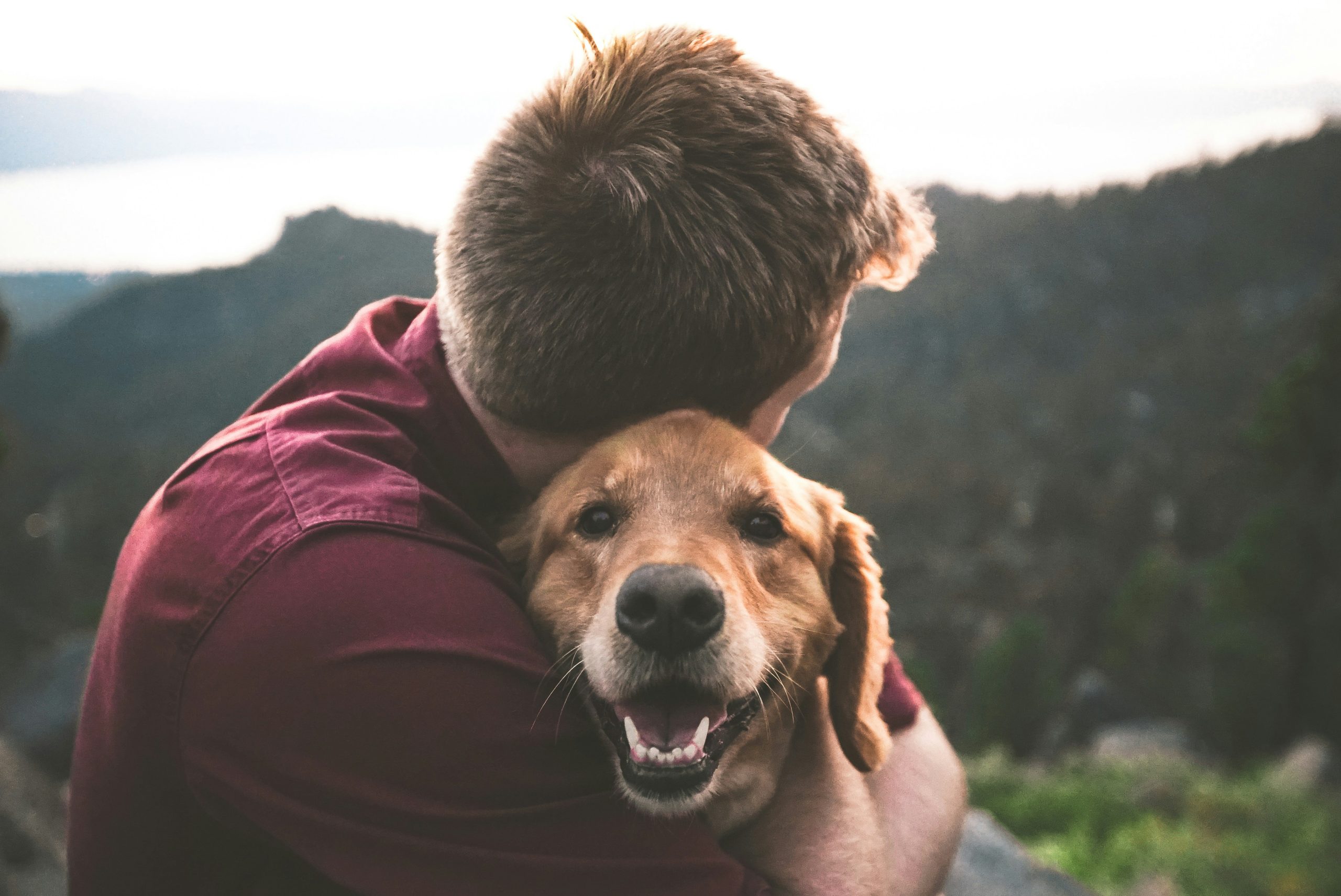 Understanding animal behavior?>